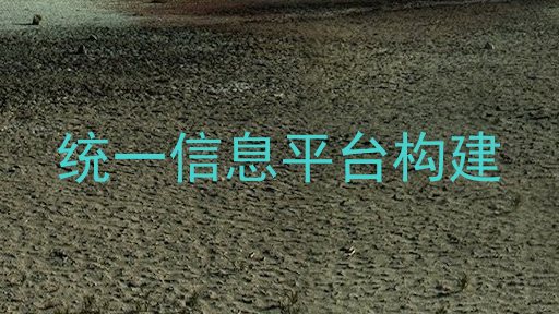 统一信息平台构建