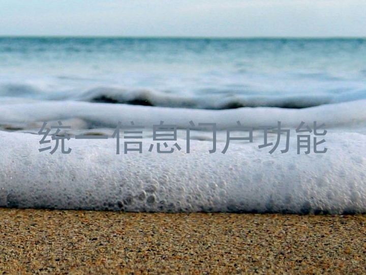 统一信息门户功能