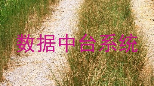 数据中台系统