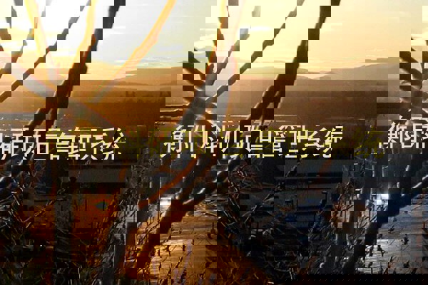 衡阳科研项目管理系统