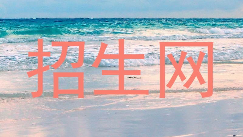 招生网
