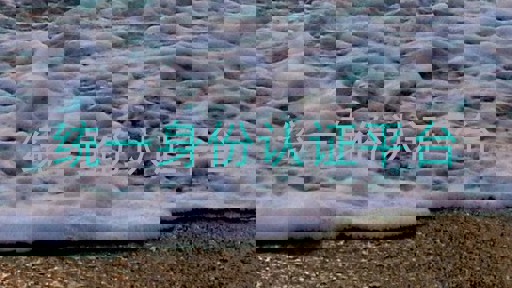 统一身份认证平台