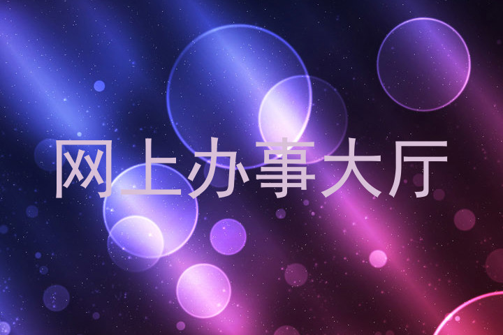 网上办事大厅