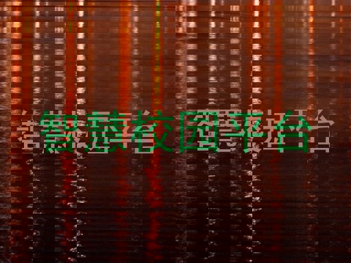 智慧校园平台