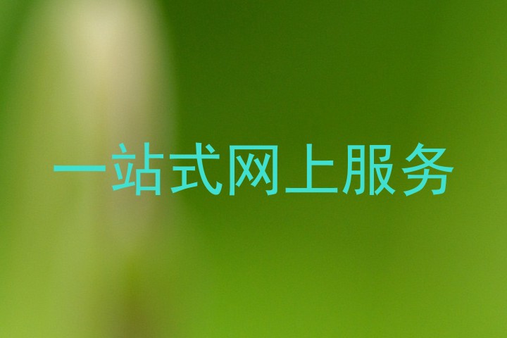 一站式网上服务