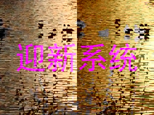 迎新系统