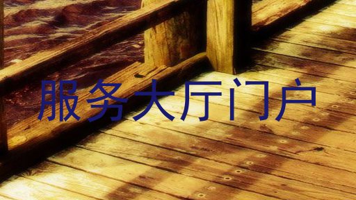 服务大厅门户