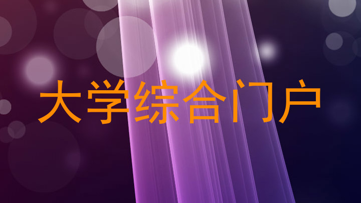 大学综合门户