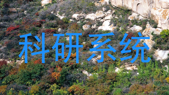 科研系统