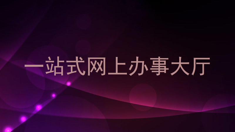 一站式网上办事大厅