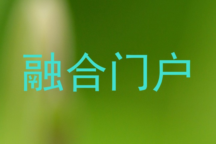 融合门户