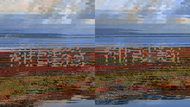 科研管理系统