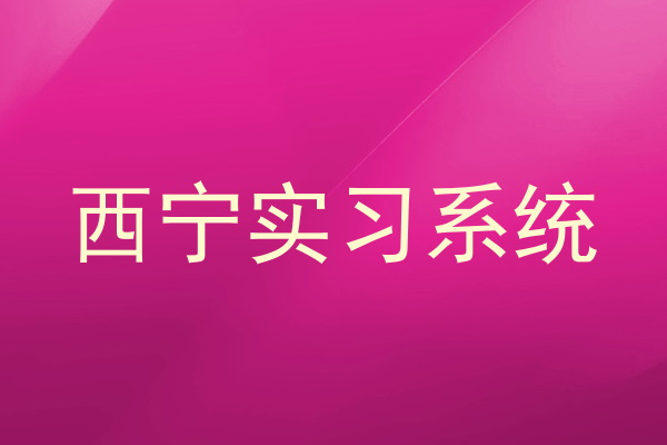西宁实习系统