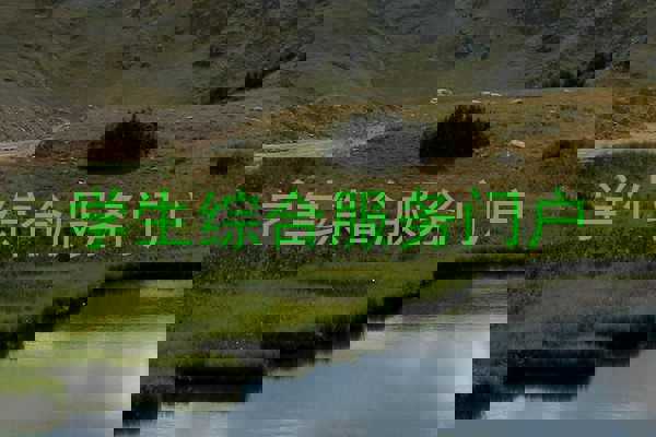 学生综合服务门户