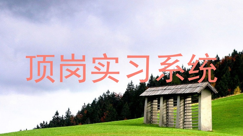 顶岗实习系统