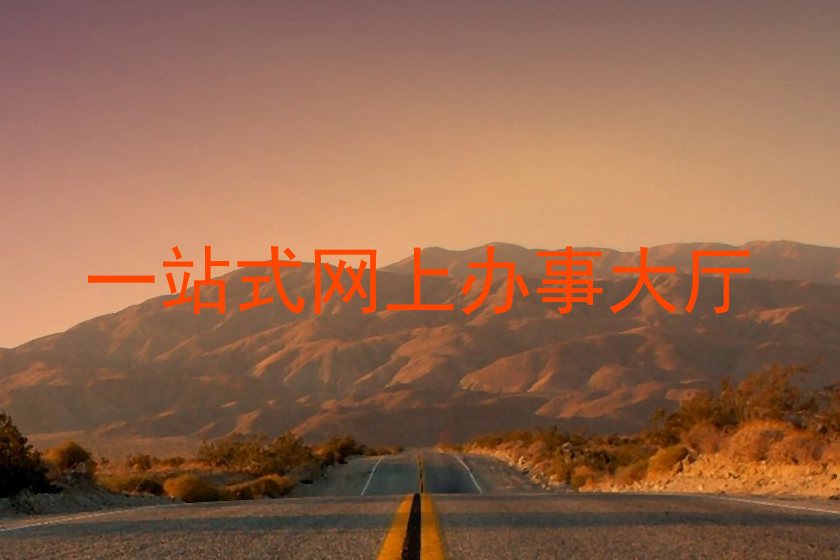 一站式网上办事大厅
