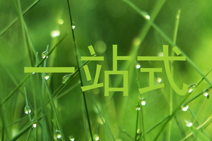 一站式