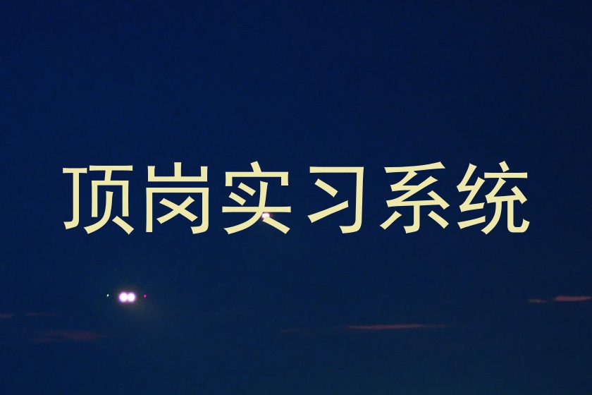 顶岗实习系统