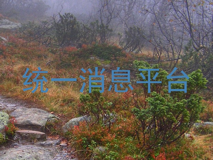 统一消息平台