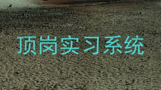 顶岗实习系统