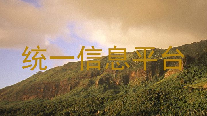 统一信息平台