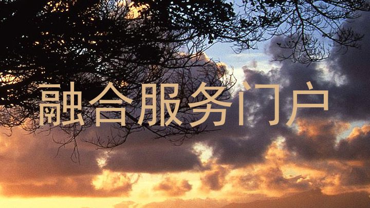 融合服务门户