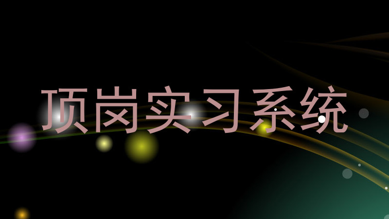 顶岗实习系统