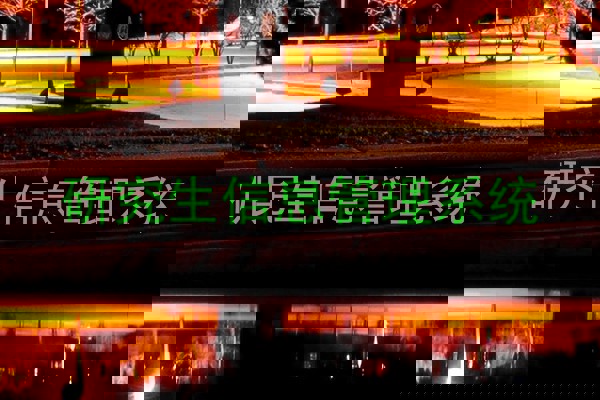 研究生信息管理系统