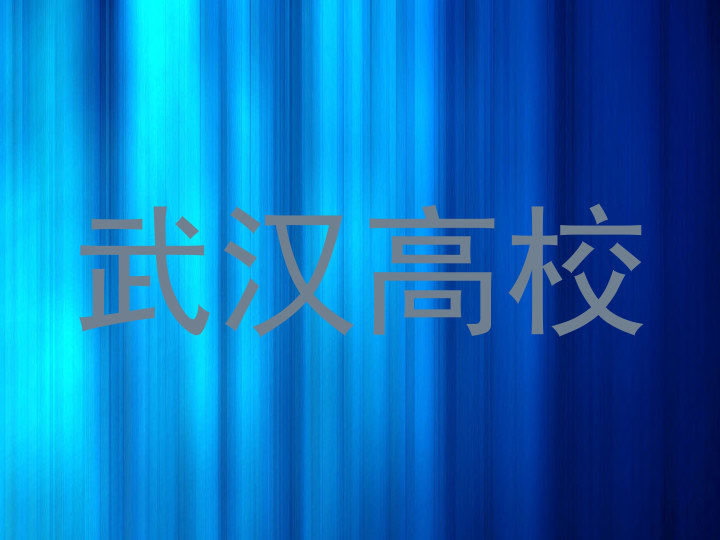 武汉高校