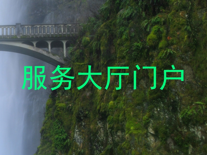 服务大厅门户
