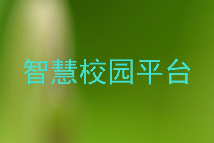 智慧校园平台