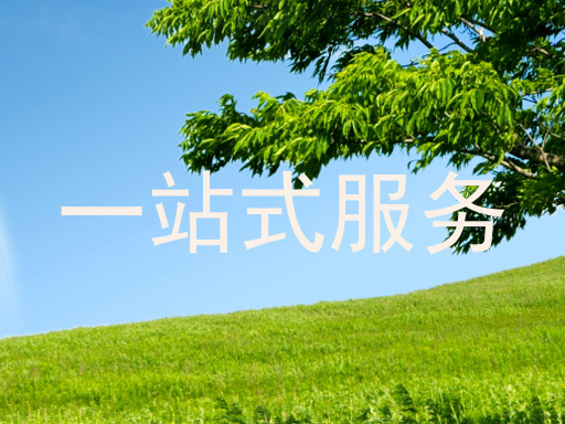 一站式服务