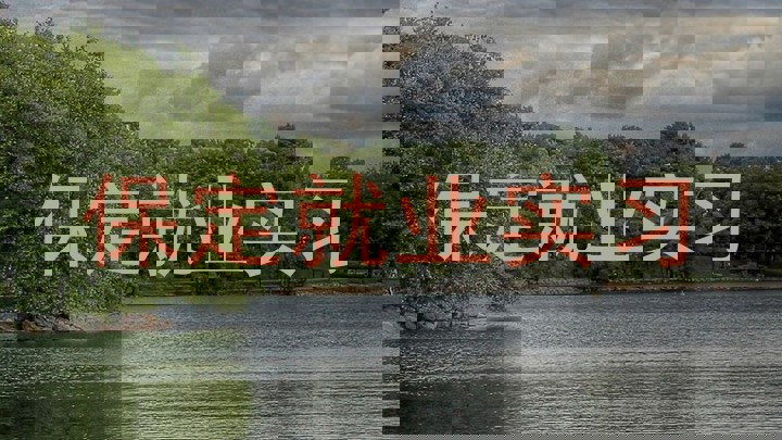 保定就业实习