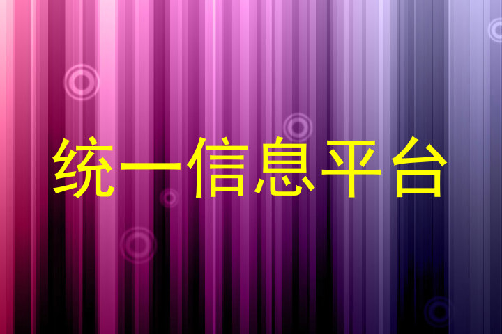 统一信息平台