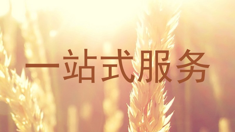 一站式服务