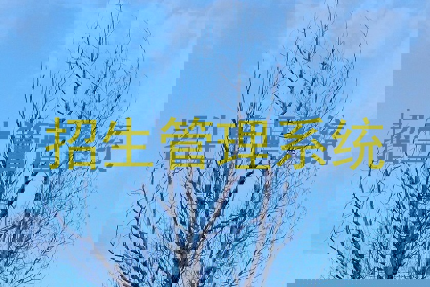 招生管理系统