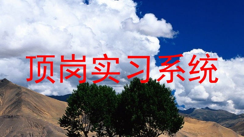 顶岗实习系统