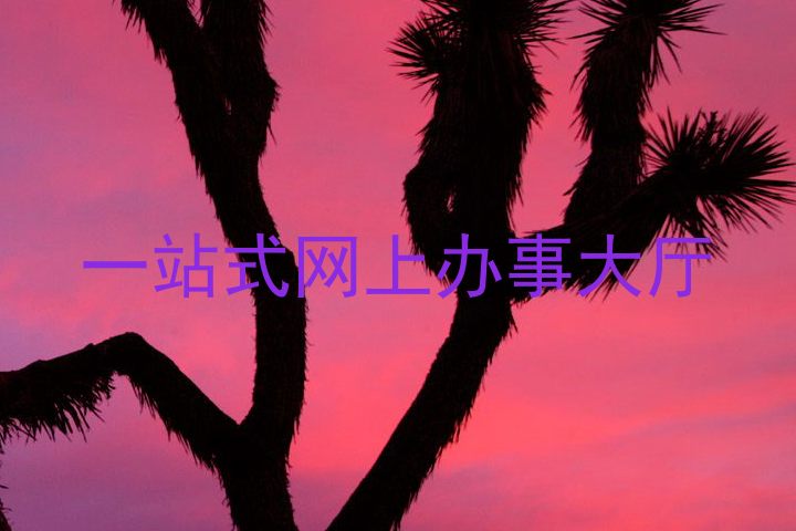 一站式网上办事大厅