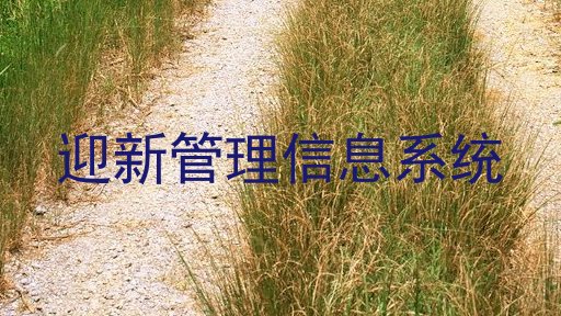 迎新管理信息系统