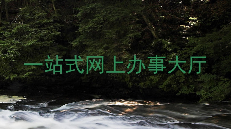 一站式网上办事大厅