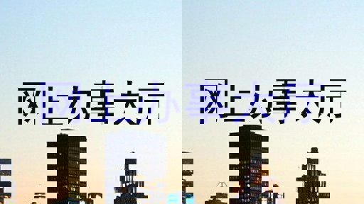 网上办事大厅