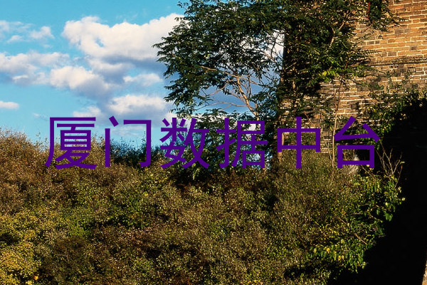 厦门数据中台