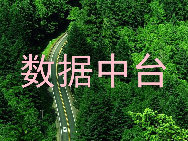 数据中台