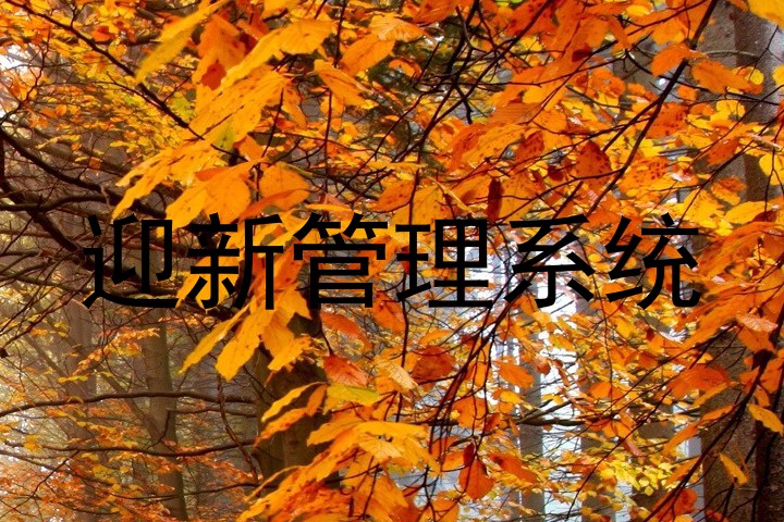 迎新管理系统