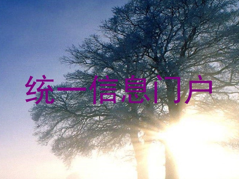 统一信息门户