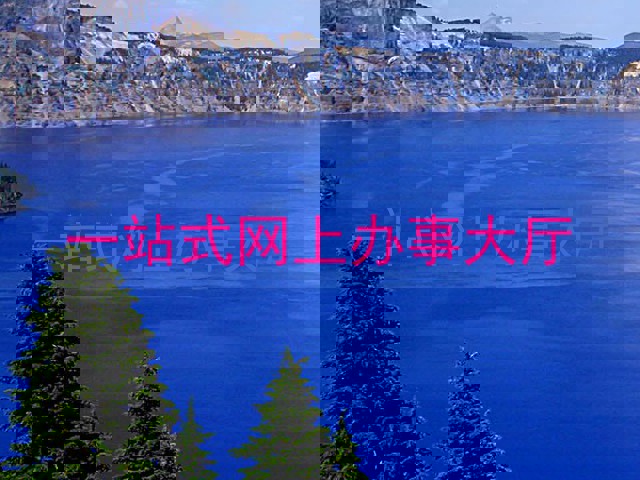 一站式网上办事大厅