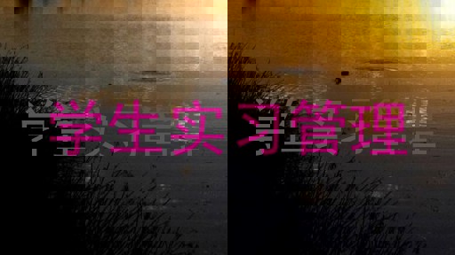 学生实习管理