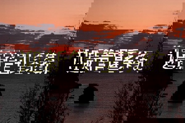 迎新管理系统