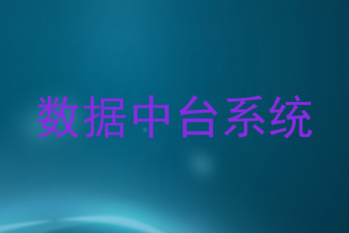 数据中台系统