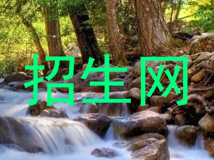 招生网